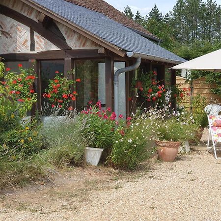 Gite Rustique A Cheverny: Nature, Tennis, Animaux Bienvenus, Peche Et Chateaux De La Loire A Proximite - Fr-1-491-366 Exterior photo