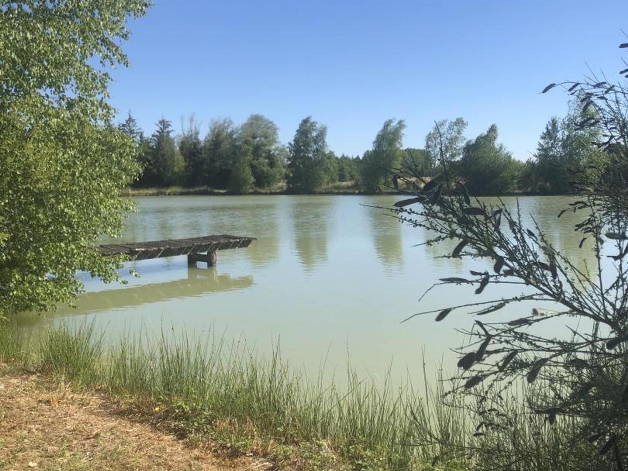 Gite Rustique A Cheverny: Nature, Tennis, Animaux Bienvenus, Peche Et Chateaux De La Loire A Proximite - Fr-1-491-366 Exterior photo