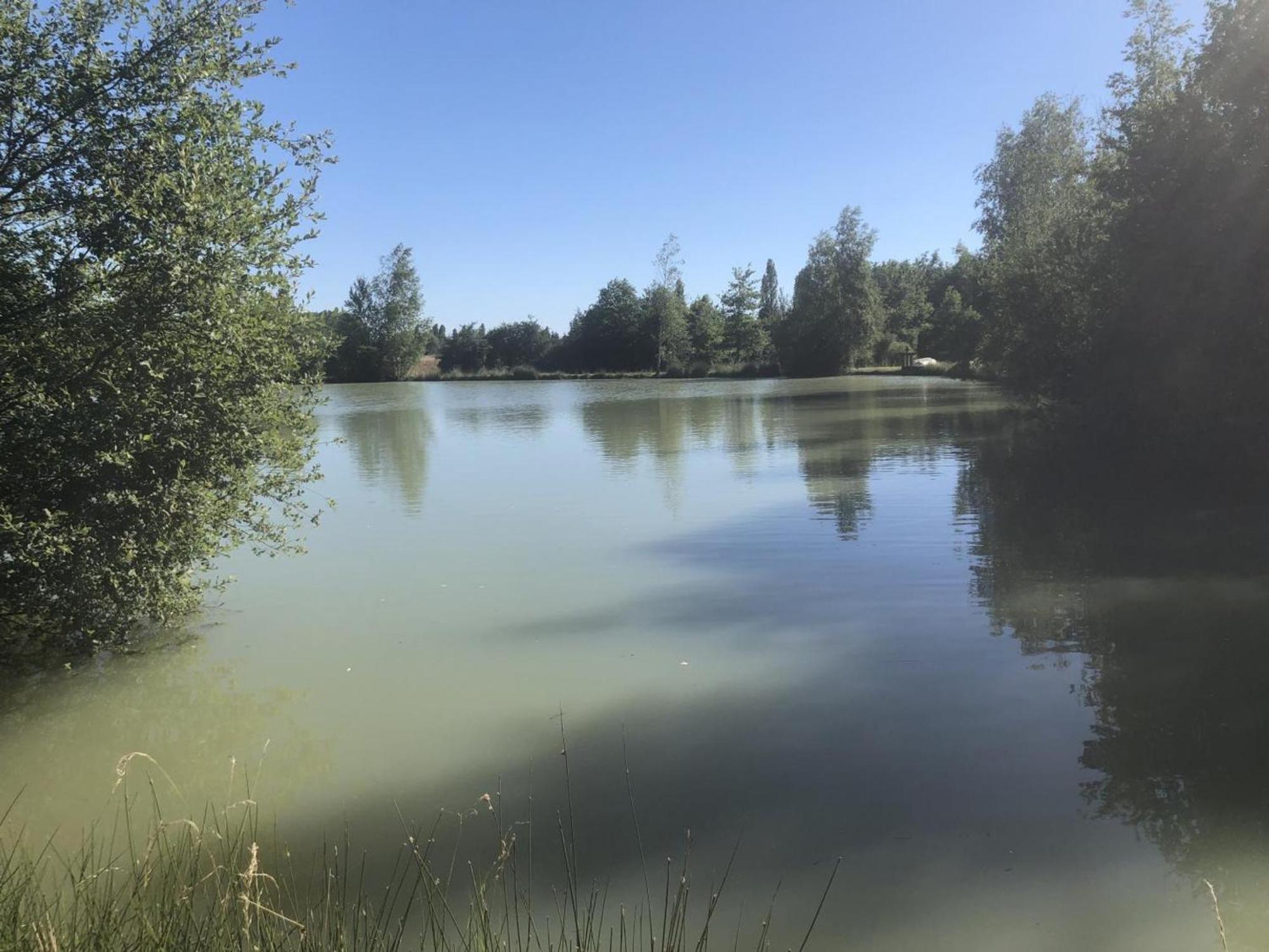 Gite Rustique A Cheverny: Nature, Tennis, Animaux Bienvenus, Peche Et Chateaux De La Loire A Proximite - Fr-1-491-366 Exterior photo