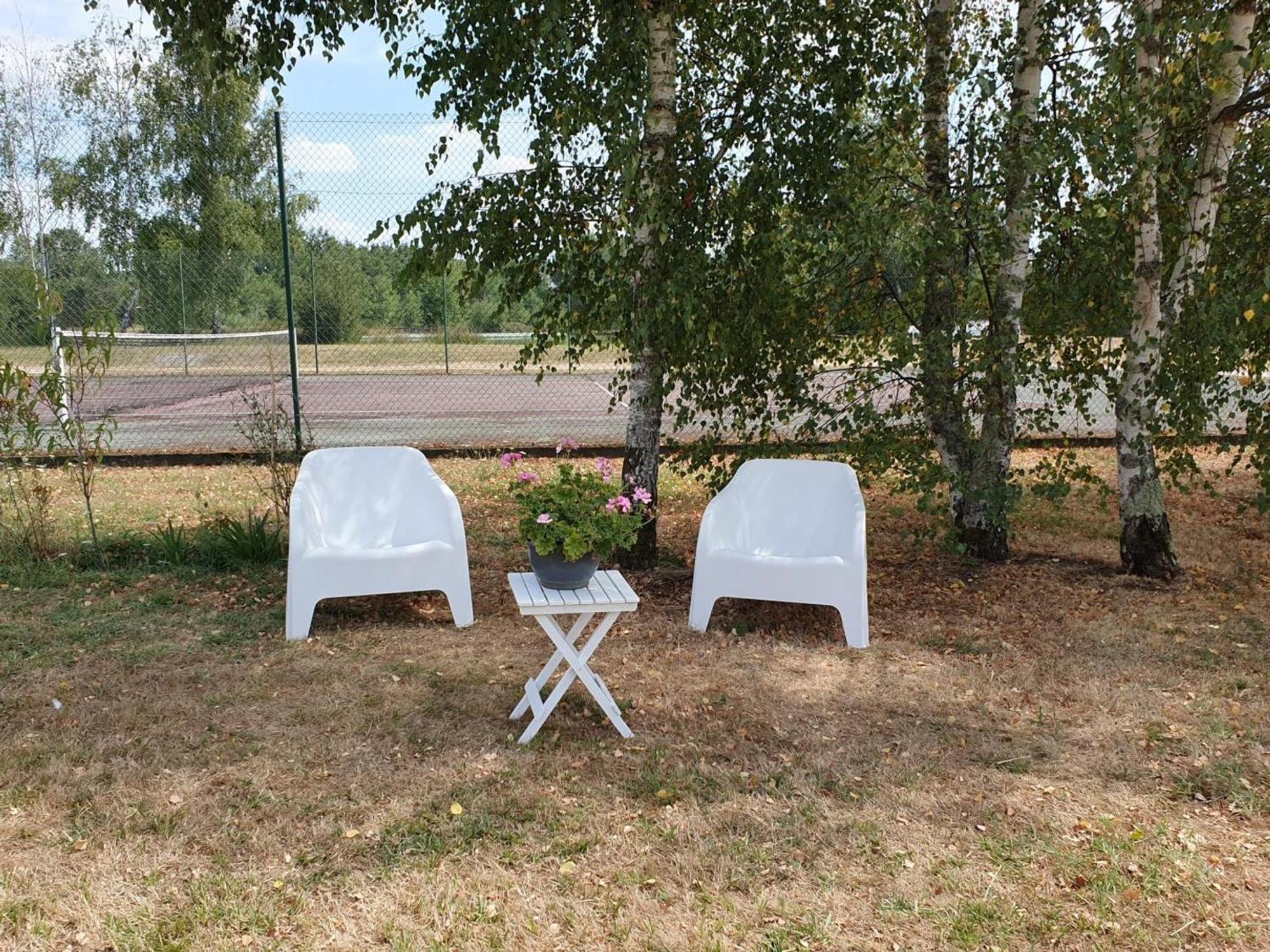 Gite Rustique A Cheverny: Nature, Tennis, Animaux Bienvenus, Peche Et Chateaux De La Loire A Proximite - Fr-1-491-366 Exterior photo