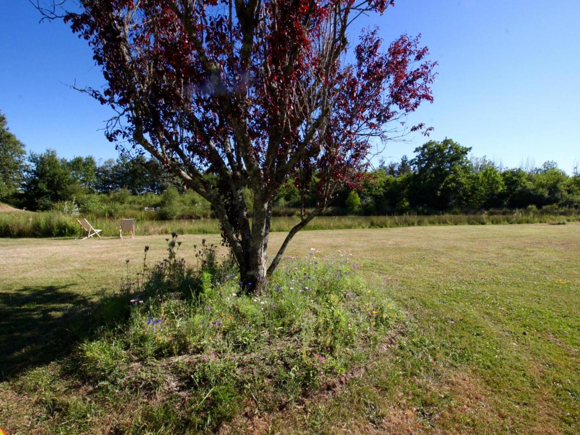 Gite Rustique A Cheverny: Nature, Tennis, Animaux Bienvenus, Peche Et Chateaux De La Loire A Proximite - Fr-1-491-366 Exterior photo
